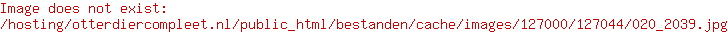 Kong Kerst Wild Knots Bear Assorti S/M