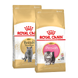 Royal Canin Breed Kat Droogvoer