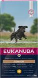 Eukanuba Hondenvoer Junior L/XL Chicken 12 kg
