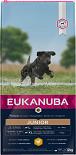 Eukanuba hondenvoer Developing Junior Large Breed 12 kg