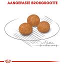 Royal Canin hondenvoer X-Small Adult 3 kg
