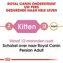 Royal Canin kattenvoer Persian Kitten 4 kg