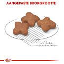 Royal Canin hondenvoer Mini Adult 8+ 2 kg