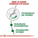 Royal Canin hondenvoer Mini Adult 8+ 2 kg