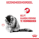 Royal Canin Kattenvoer Hairball Care 4 kg