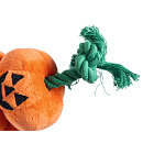 Beeztees Hondenspeelgoed Halloween Pompoenen met Touw