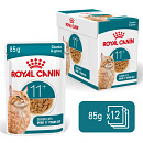 Royal Canin Kattenvoer Ageing 11+ in gravy <br>12 x 85 gr
