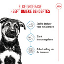 Royal Canin Hondenvoer Maxi Puppy 10 x 140 gr