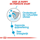 Royal Canin Hondenvoer Mini Puppy 12 x 85 gr