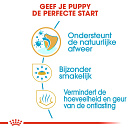 Royal Canin Hondenvoer Chihuahua Puppy 1,5 kg
