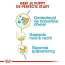 Royal Canin Hondenvoer Cocker Puppy 3 kg