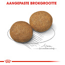Royal Canin Hondenvoer Medium Adult 4 kg