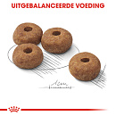 Royal Canin Hondenvoer Sterilised Medium 3 kg