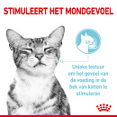 Royal Canin Kattenvoer Sensory Feel in gravy <br>12 x 85 gr