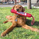 Kong Signature Stick with Rope Medium