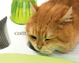 Catit Senses 2.0 Wellness Center