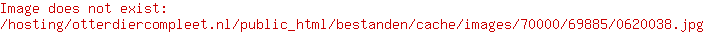 Beeztees sportbal assorti