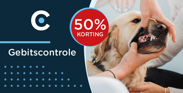Een gezond gebit is belangrijk