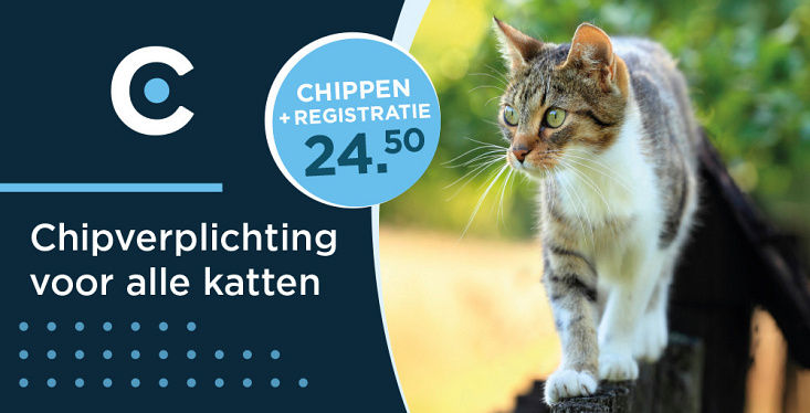 Laat je kat chippen