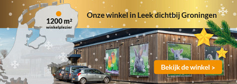 slider winkel otter 475x170 kerst