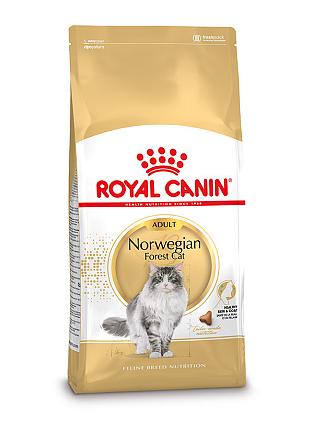 Royal Canin kattenvoer Norwegian Forest Cat Adult 2 kg