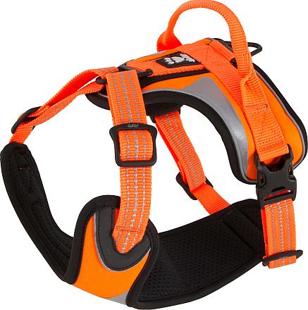 Hurtta harnas Dazzle orange 