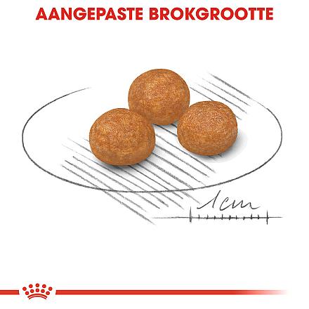 Royal Canin hondenvoer X-Small Adult 3 kg
