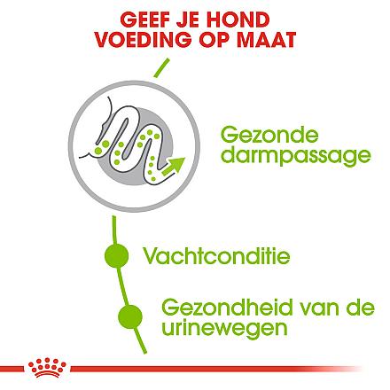 Royal Canin hondenvoer X-Small Adult 3 kg