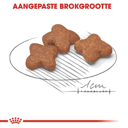 Royal Canin hondenvoer Mini Adult 8+ 2 kg