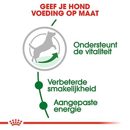 Royal Canin hondenvoer Mini Adult 8+ 2 kg