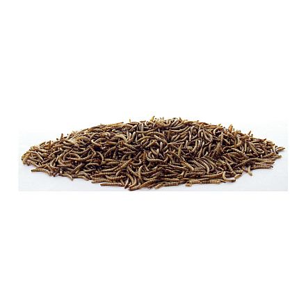 ESVE Meelwormen<br> 700 gr