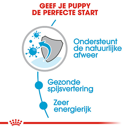 Royal Canin Hondenvoer Mini Puppy 12 x 85 gr