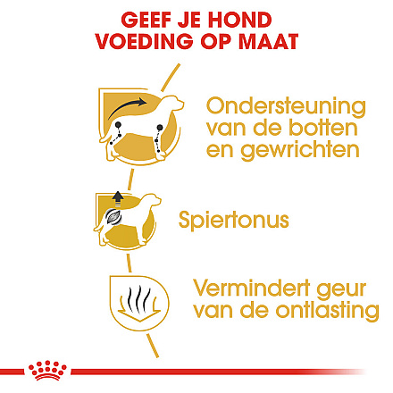 Royal Canin Hondenvoer Dachshund Adult 1,5 kg