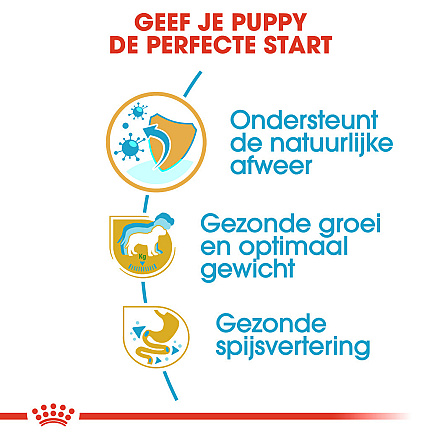 Royal Canin Hondenvoer Labrador Retriever Puppy 3 kg