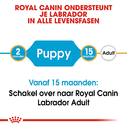 Royal Canin Hondenvoer Labrador Retriever Puppy 3 kg