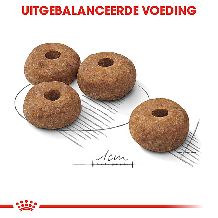 Royal Canin Hondenvoer Sterilised Medium 3 kg