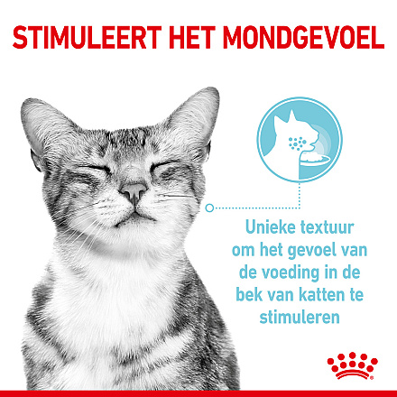 Royal Canin Kattenvoer Sensory Feel in gravy <br>12 x 85 gr