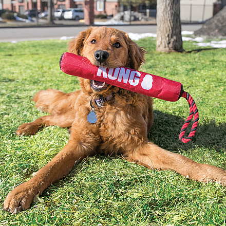 Kong Signature Stick with Rope Medium