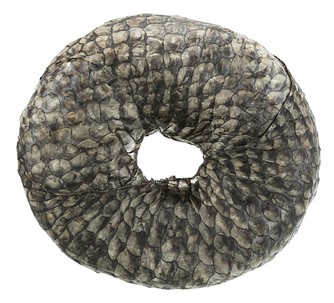 TRIXIE Denta Fun Fish Chewing Rings <br>10 cm 110 gr